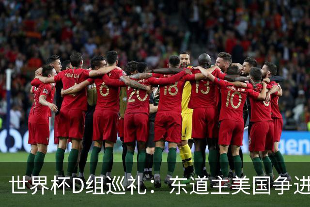 世界杯D组巡礼：东道主美国争进8强 土耳其巴拉圭澳洲混战